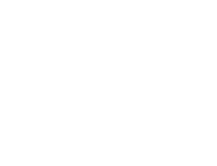 Lotus Aviation